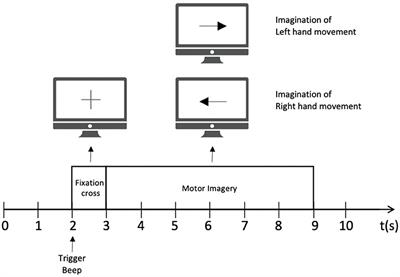 A Dynamic Multi-Scale Network for EEG Signal Classification